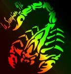 VIP BLOG SPECIAL MONATGE